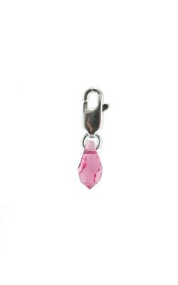 Family Birthstone Swarvoski Charms - Image 10