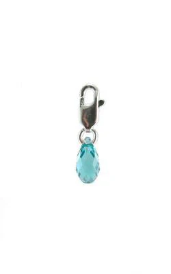 Family Birthstone Swarvoski Charms - Image 12